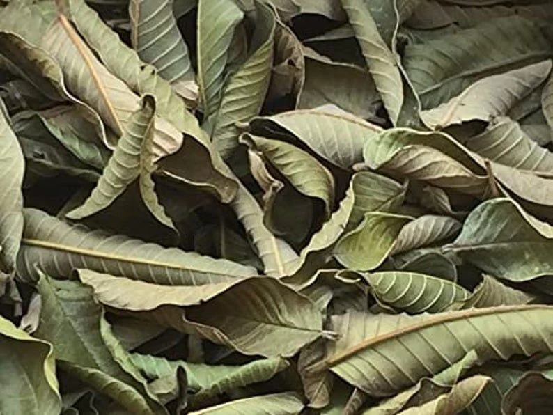 Dry Guava Leaves